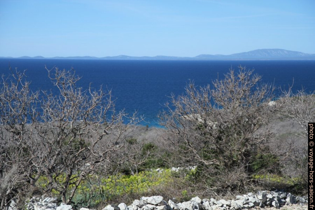 Chênes noueux, le canal de Kvarnerić et l'Île de Lošinj. Photo © Alex Medwedeff