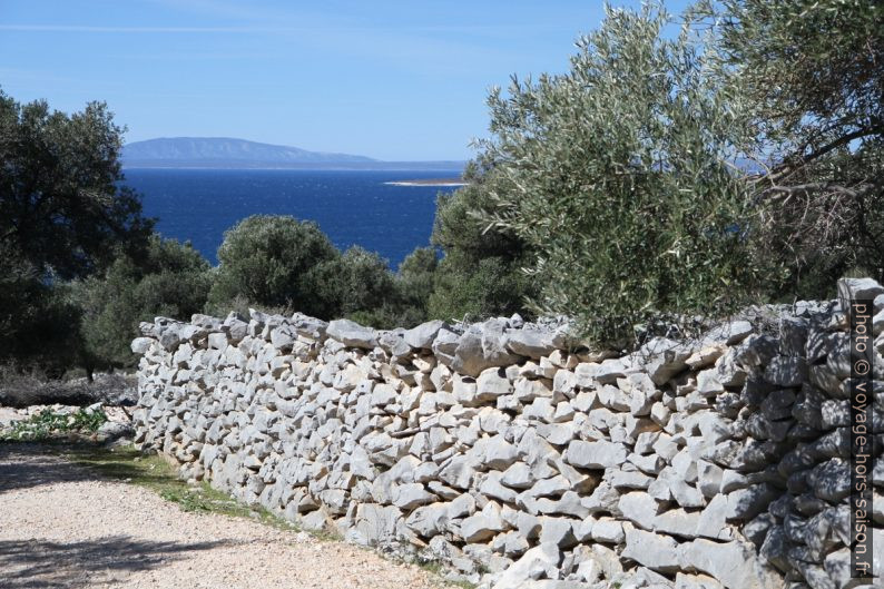 Oliviers, mur calcaire et la mer. Photo © André M. Winter