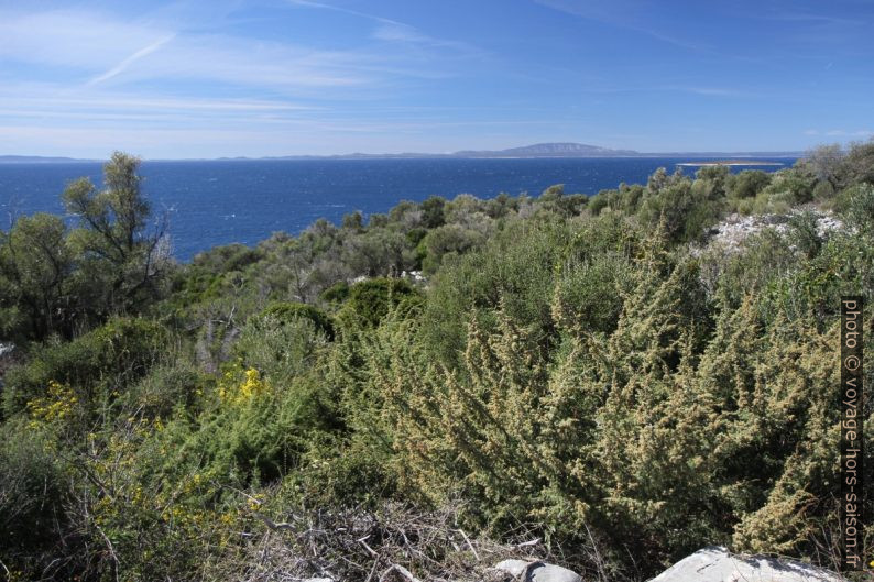 Vue vers l'Île de Lošinj. Photo © Alex Medwedeff