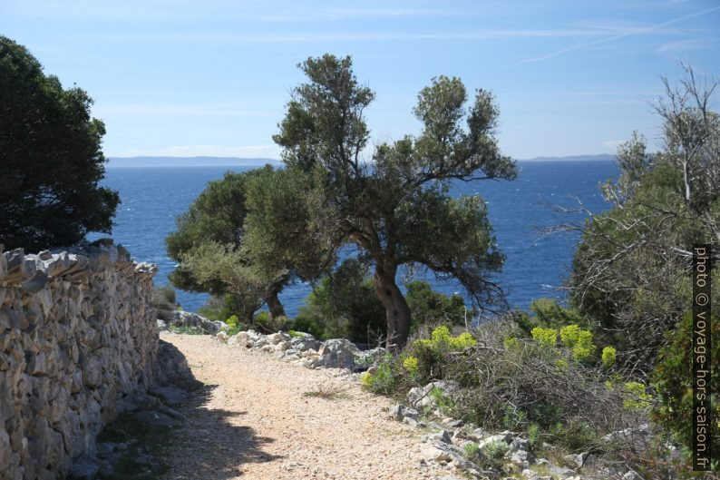 Chemin vers le point de vue de Vadikandija. Photo © Alex Medwedeff