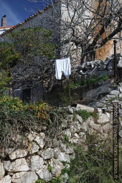 Culotte d'un autre âge sur une corde à linge. Photo © Alex Medwedeff