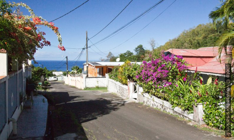 Vue des collines de Vieux-Habitants sur la mer. Photo © André M. Winter