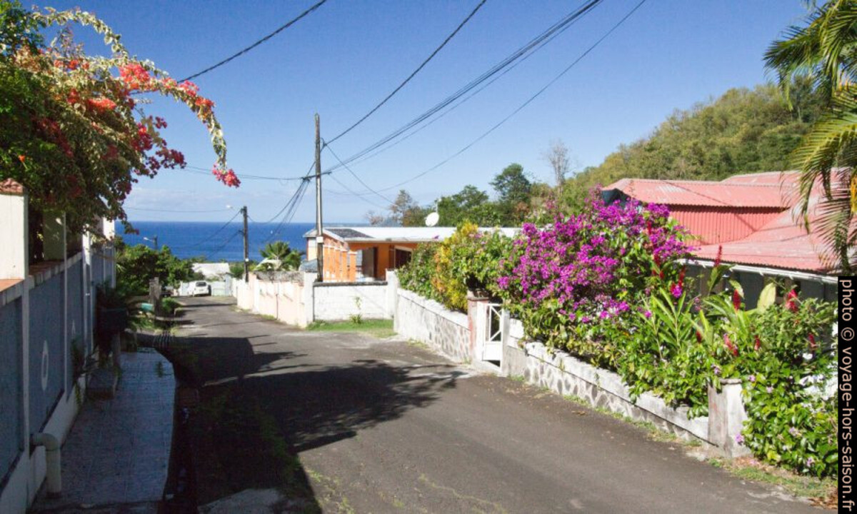 Vue des collines de Vieux-Habitants sur la mer. Photo © André M. Winter