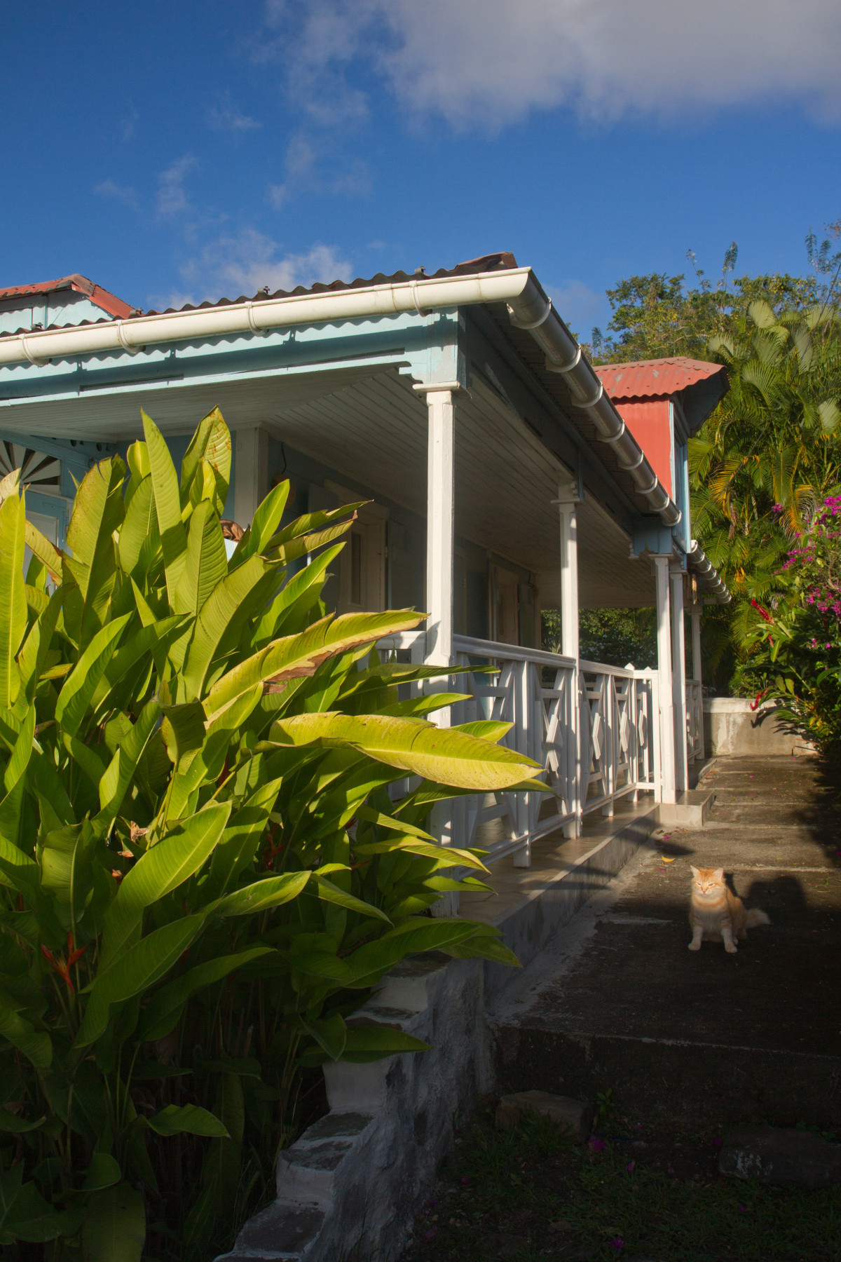 Location Ti'Kaz à Vieux-Habitants. Photo © Alex Medwedeff