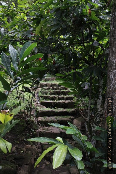 Escalier dans les jardins de la Grivelière. Photo © Alex Medwedeff