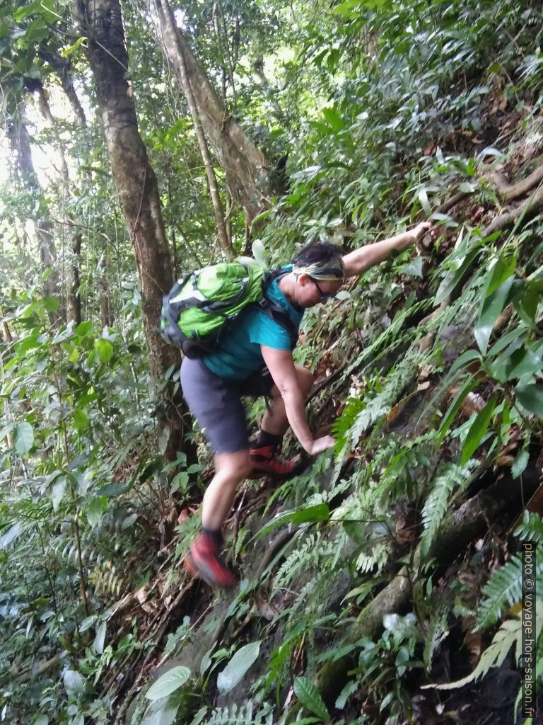 Alex grimpe à l'aide des racines par dessus un abrupt rocheux. Photo © André M. Winter