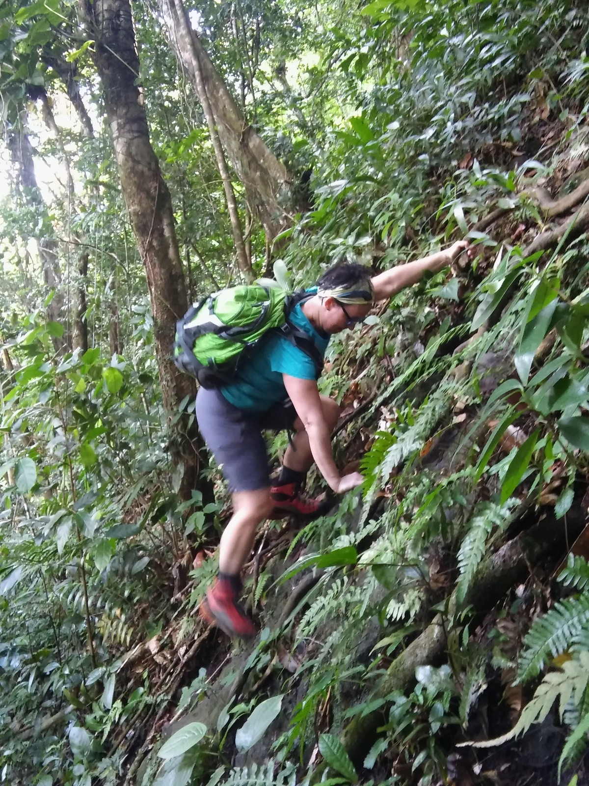Alex grimpe à l'aide des racines par dessus un abrupt rocheux. Photo © André M. Winter