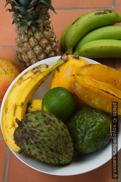 Assiette de fruits tropiques. Photo © Alex Medwedeff