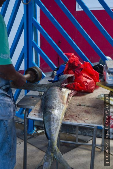 Dépècement d'un gros poisson à la machette. Photo © Alex Medwedeff