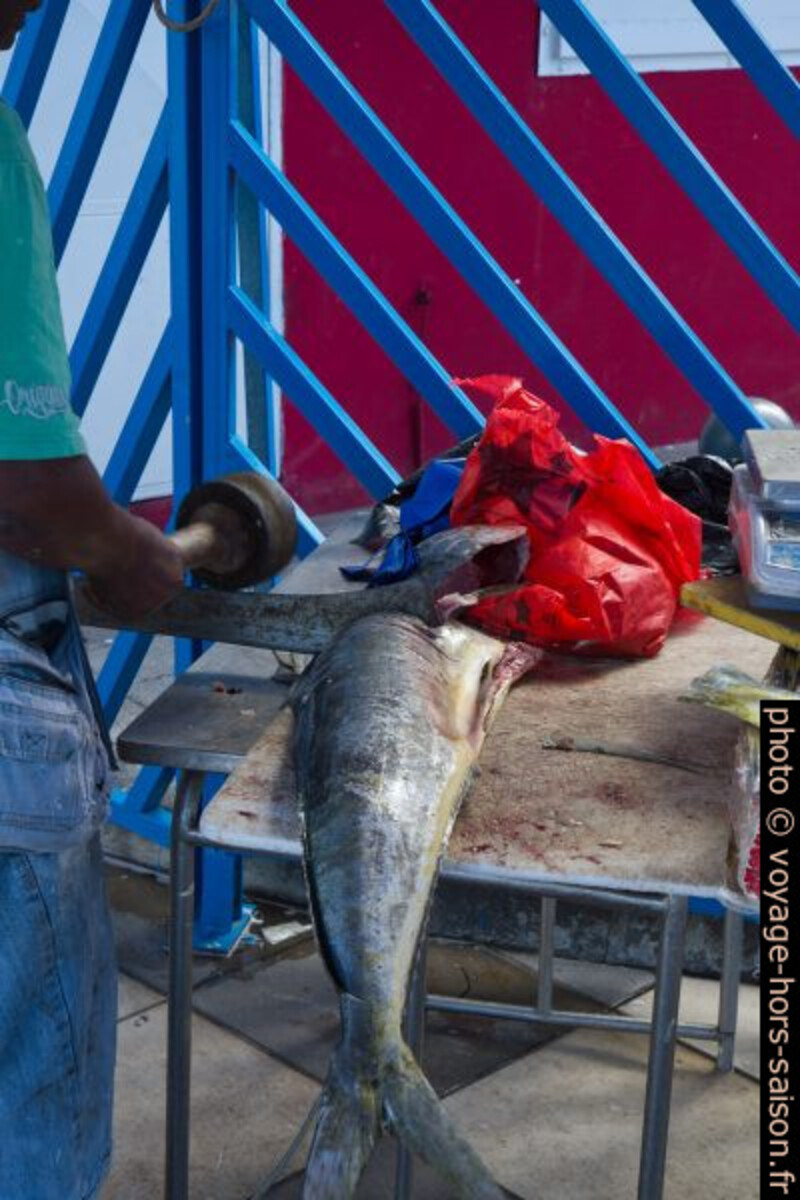 Dépècement d'un gros poisson à la machette. Photo © Alex Medwedeff