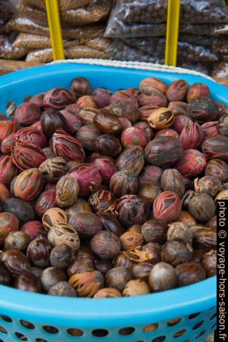 Noix de muscade fraîches. Photo © Alex Medwedeff