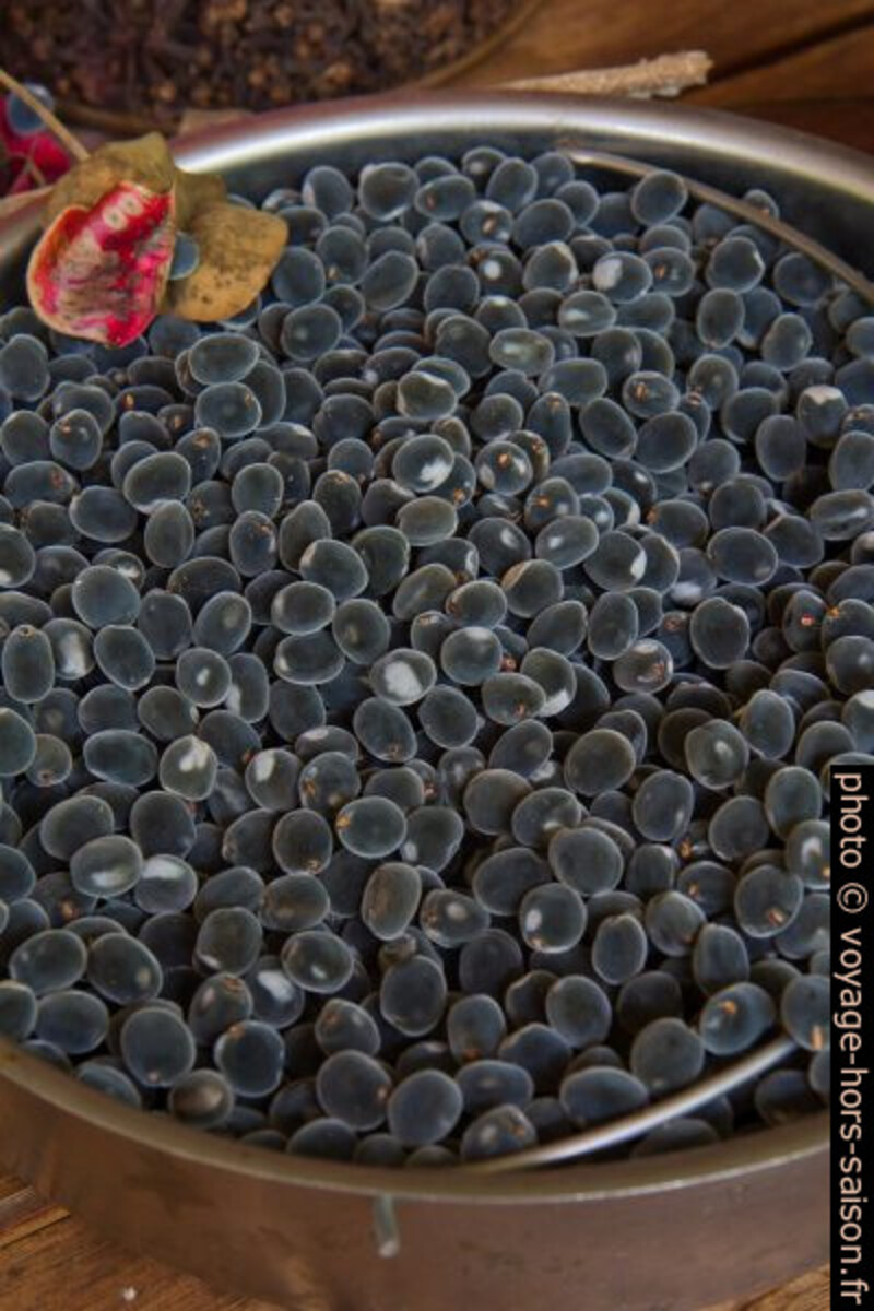 Fruits finement velues. Photo © Alex Medwedeff