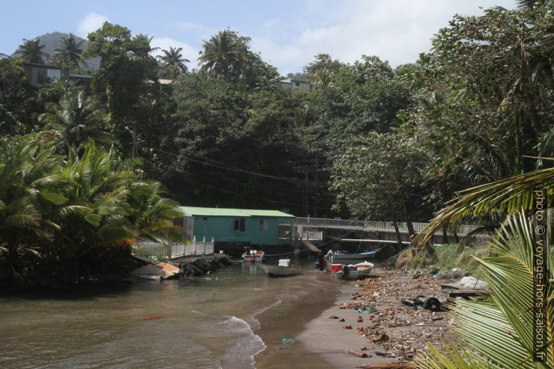 Estuaire de la Rivière le Bananier. Photo © Alex Medwedeff