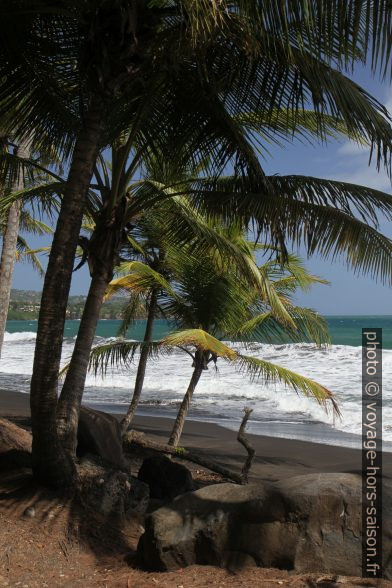 Plage de la Grande Anse de Capesterre. Photo © Alex Medwedeff