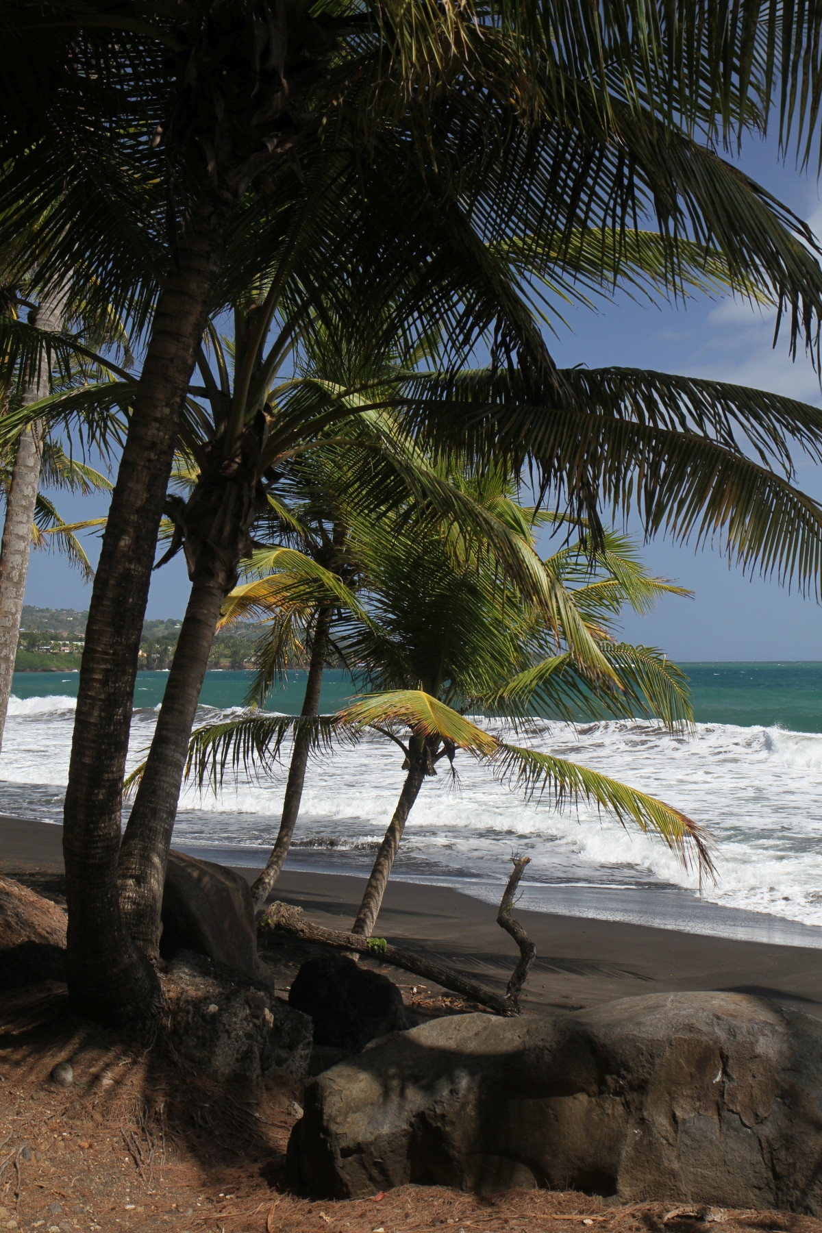 Plage de la Grande Anse de Capesterre. Photo © Alex Medwedeff