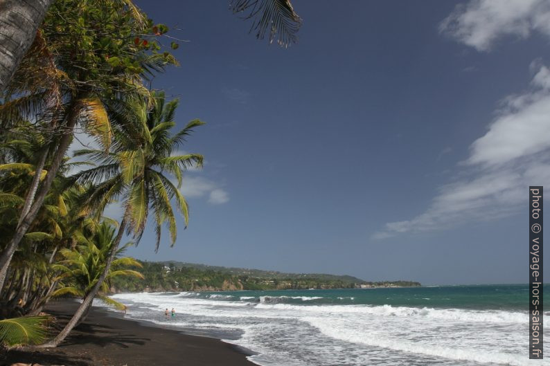 Plage et Pointe de la Grande Anse de Capesterre. Photo © Alex Medwedeff