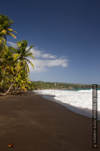 Sable noir de la Grande Anse de Capesterre. Photo © Alex Medwedeff