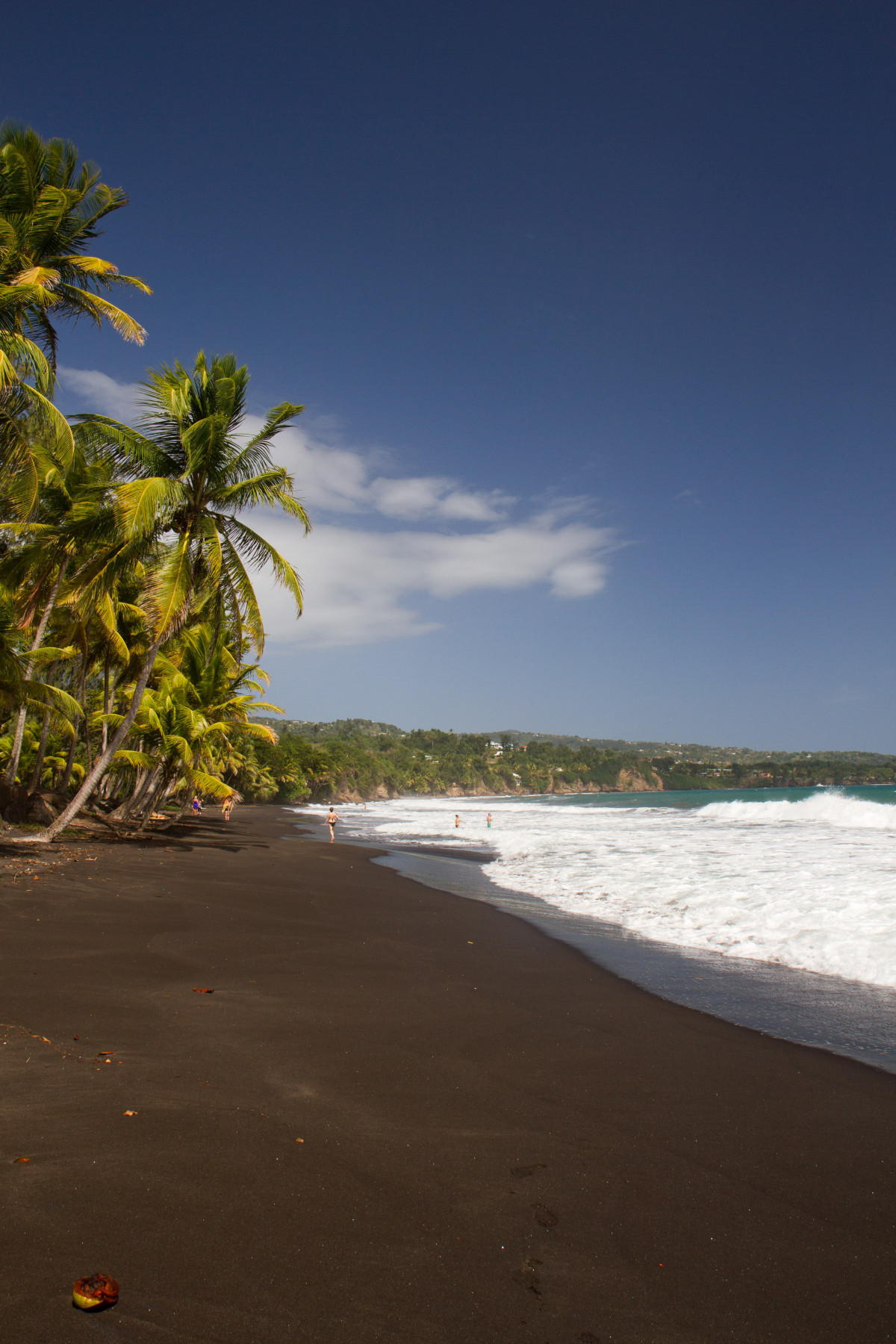 Sable noir de la Grande Anse de Capesterre. Photo © Alex Medwedeff