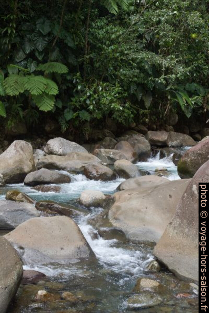 La Grande Rivière des Vieux Habitants. Photo © Alex Medwedeff