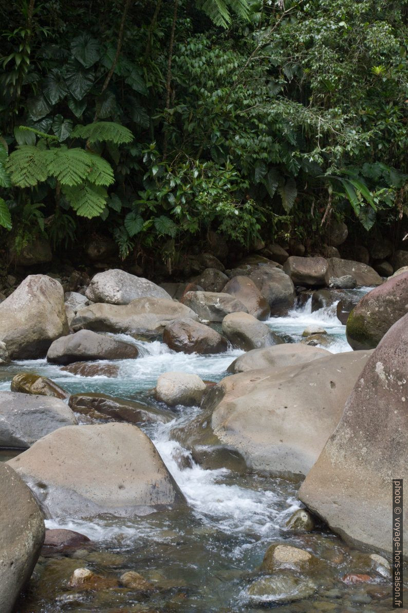 La Grande Rivière des Vieux Habitants. Photo © Alex Medwedeff