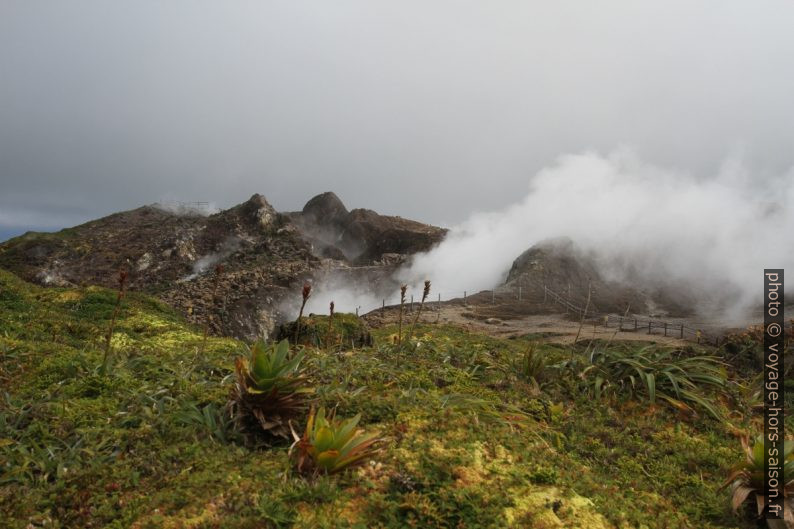 Le Gouffre Tarissan sur la Soufrière. Photo © Alex Medwedeff