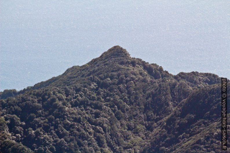 Vent Soufflée, 685 m, dans les Monts Caraïbes. Photo © André M. Winter