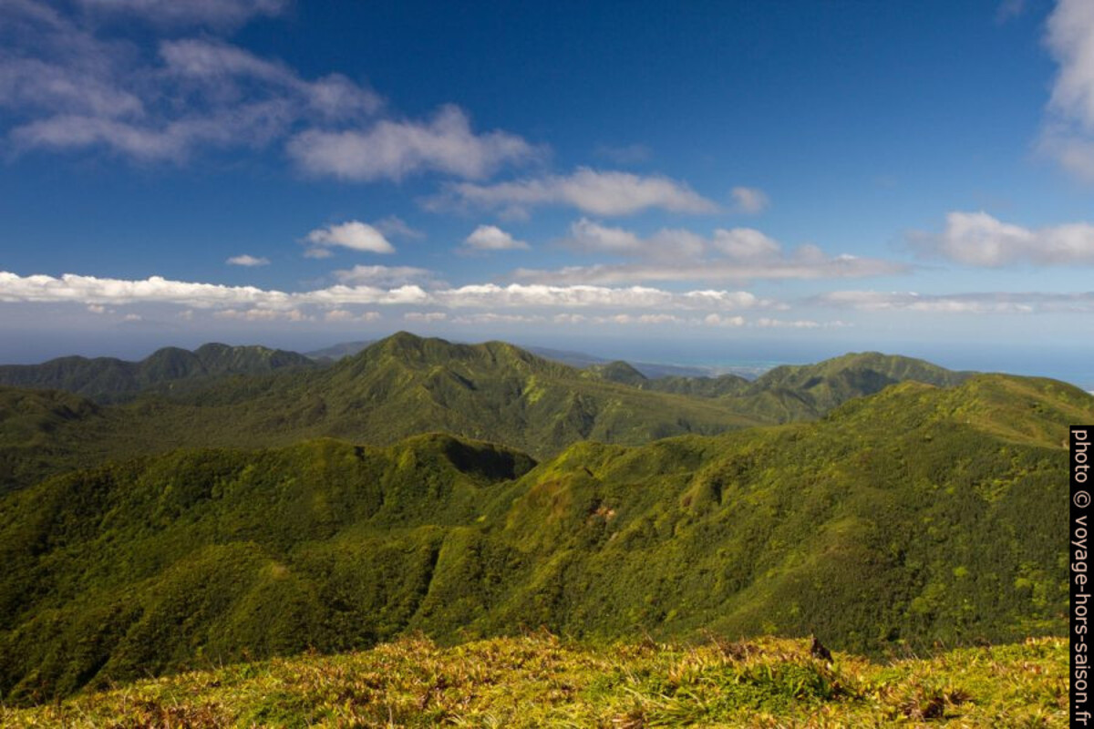 Vue du Piton de Saussure vers le nord. Photo © Alex Medwedeff