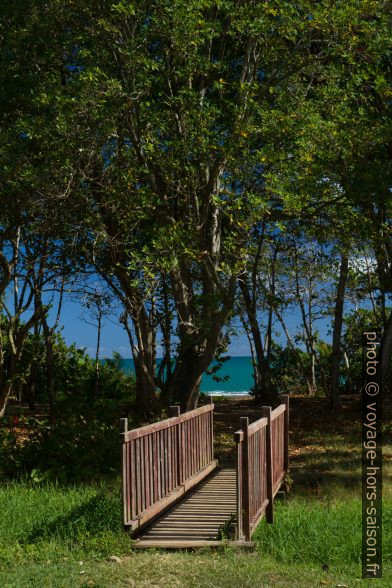 Pont sur un étang pour rejoindre la plage. Photo © Alex Medwedeff