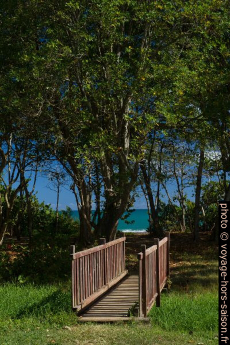 Pont sur un étang pour rejoindre la plage. Photo © Alex Medwedeff