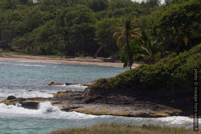 Anse de Vinty. Photo © André M. Winter