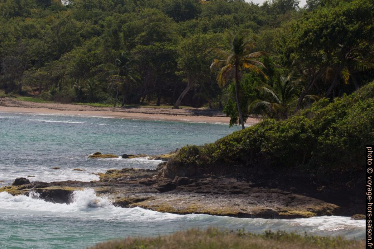 Anse de Vinty. Photo © André M. Winter
