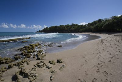 Partie est de l'Anse de Nogent. Photo © André M. Winter