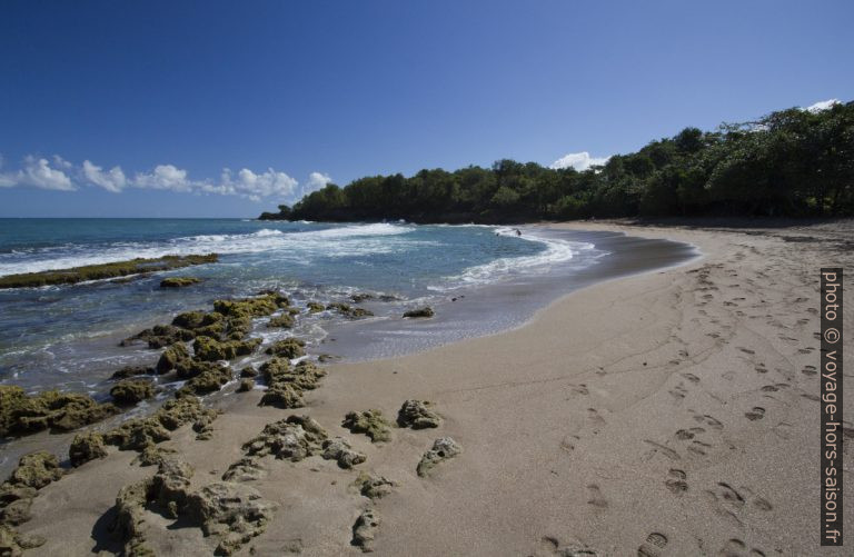 Partie est de l'Anse de Nogent. Photo © André M. Winter