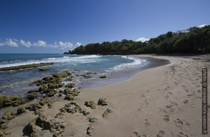 Partie est de l'Anse de Nogent. Photo © André M. Winter