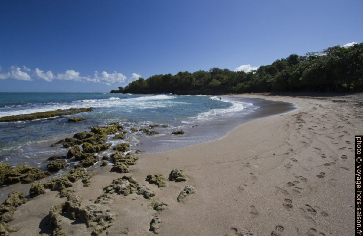 Partie est de l'Anse de Nogent. Photo © André M. Winter
