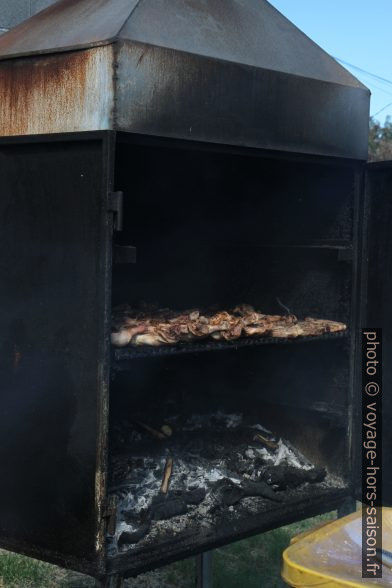 Barbecue de cuisses de poulet. Photo © Alex Medwedeff