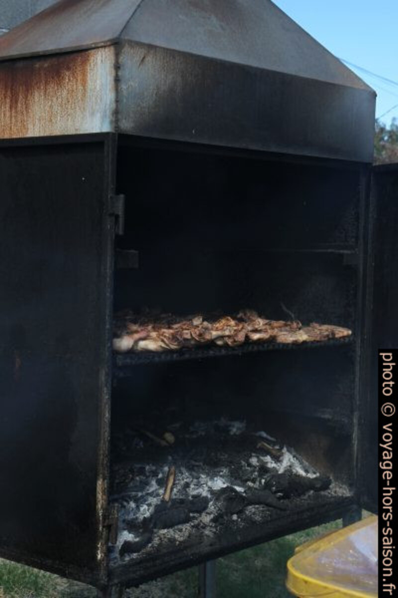 Barbecue de cuisses de poulet. Photo © Alex Medwedeff