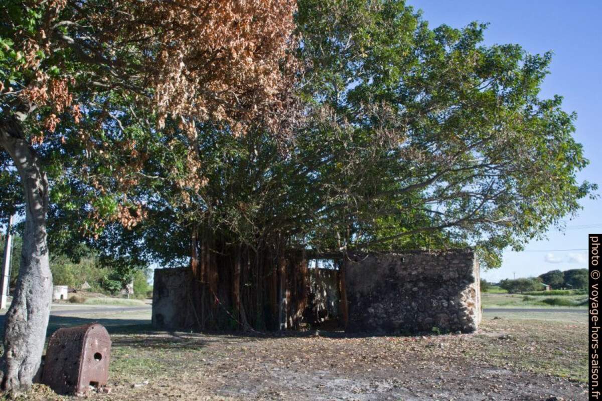 Ruines de l'ancienne sucrerie de la Mahaudière. Photo © Alex Medwedeff