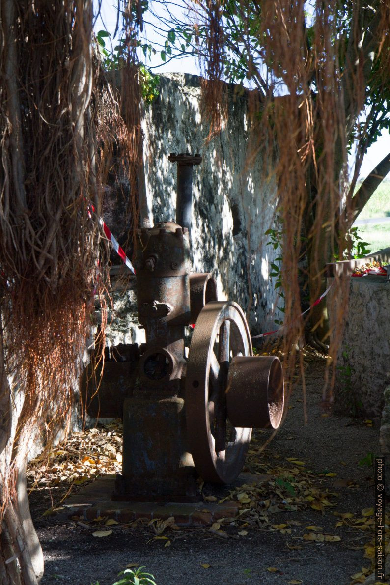 Reste d'une machine dans la ruine de l'ancienne sucrerie de la Mahaudière. Photo © Alex Medwedeff