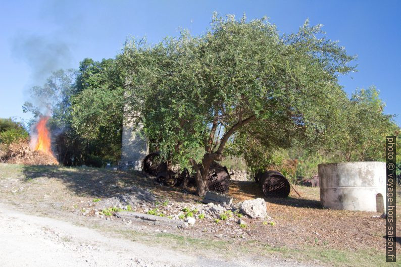 Feu et cuves trouées de l'ancienne sucrerie de la Mahaudière. Photo © André M. Winter