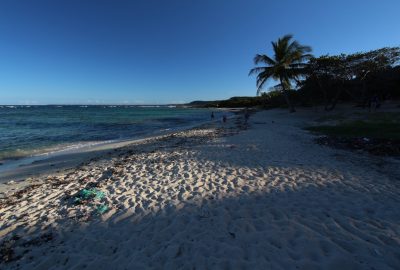 Plage de l'Anse Maurice en fin d'après-midi. Photo © André M. Winter