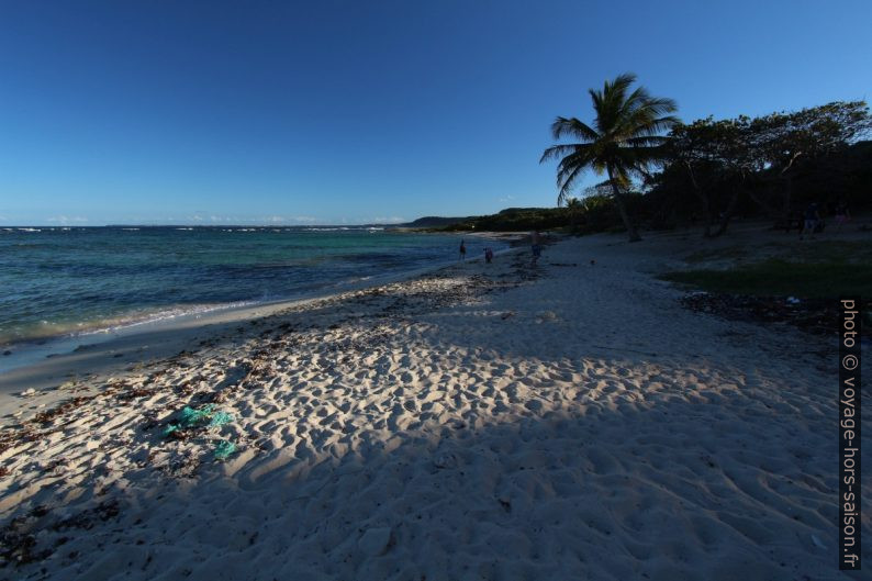 Plage de l'Anse Maurice en fin d'après-midi. Photo © André M. Winter