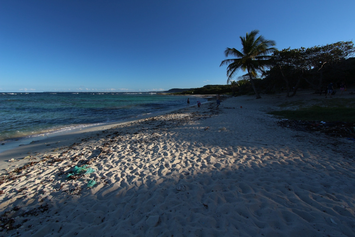 Plage de l'Anse Maurice en fin d'après-midi. Photo © André M. Winter