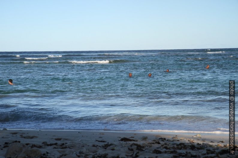 Vagues roulantes sur les récifs devant la plage. Photo © Alex Medwedeff