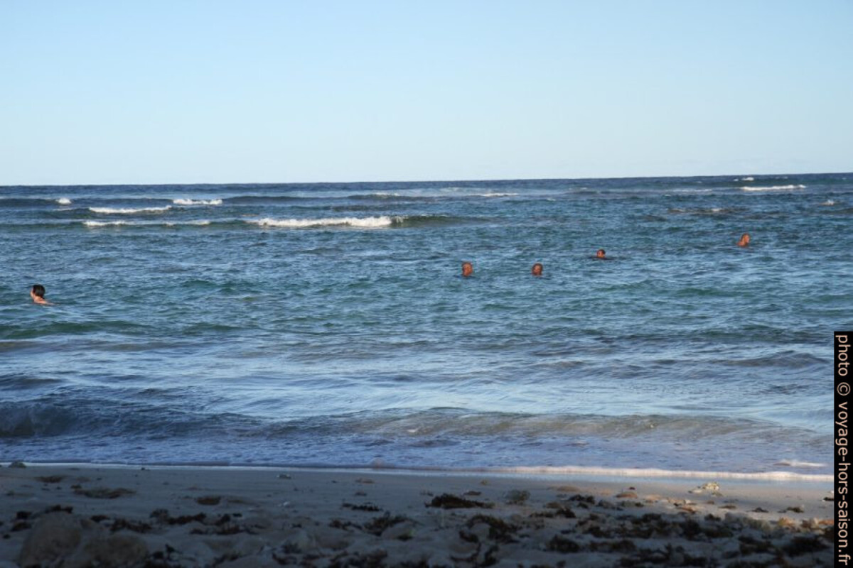 Vagues roulantes sur les récifs devant la plage. Photo © Alex Medwedeff