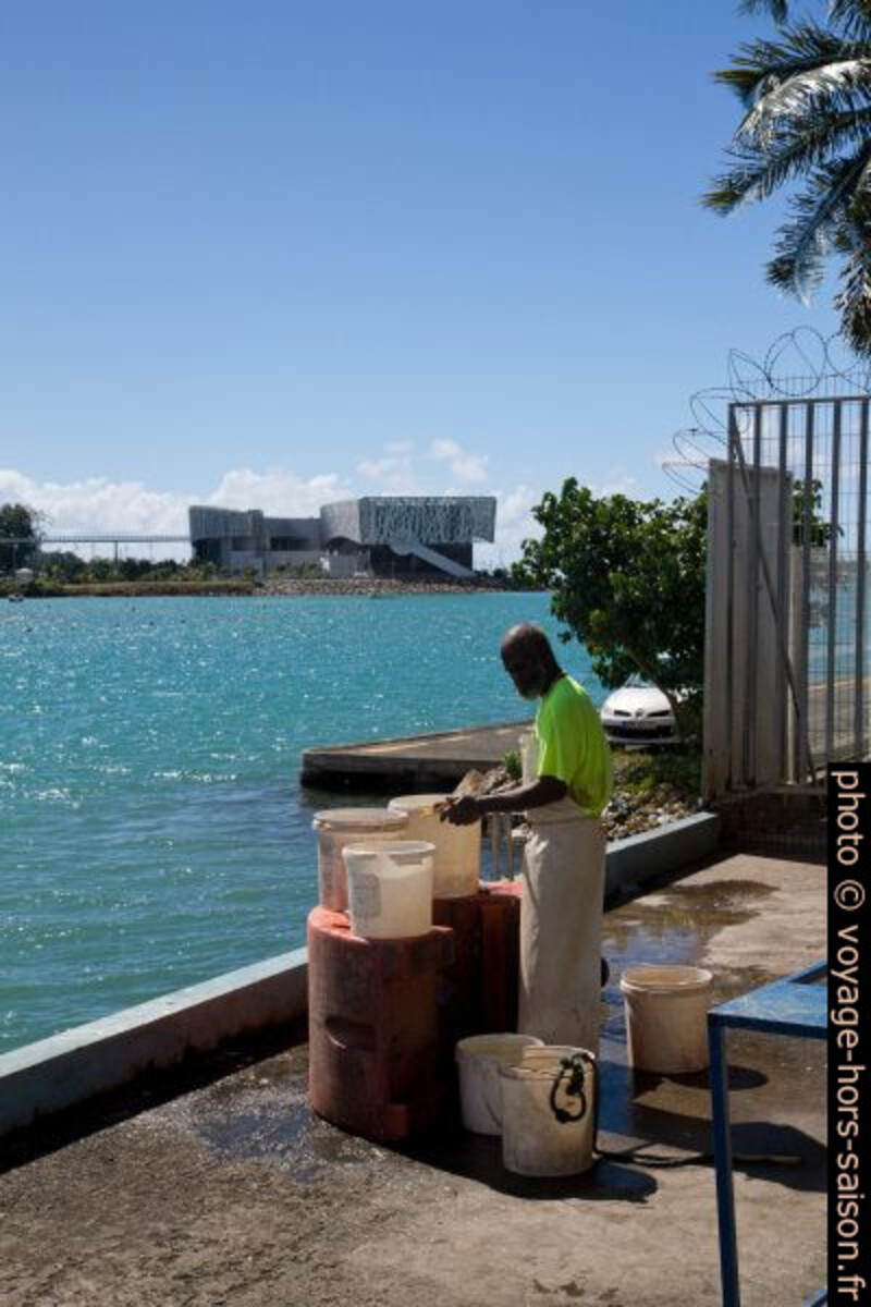 Écailleur de poissons sur le port de Pointe-à-Pitre. Photo © Alex Medwedeff
