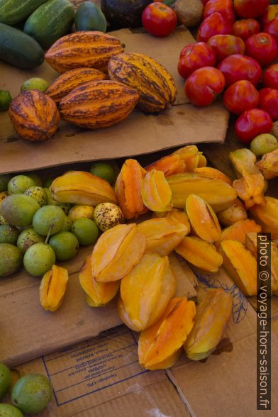 Cabosses de cacao, caramboles, mangues et tomates. Photo © Alex Medwedeff