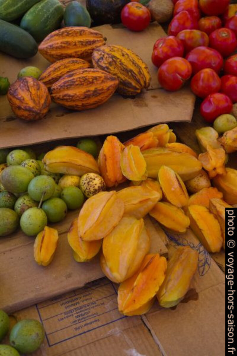 Cabosses de cacao, caramboles, mangues et tomates. Photo © Alex Medwedeff