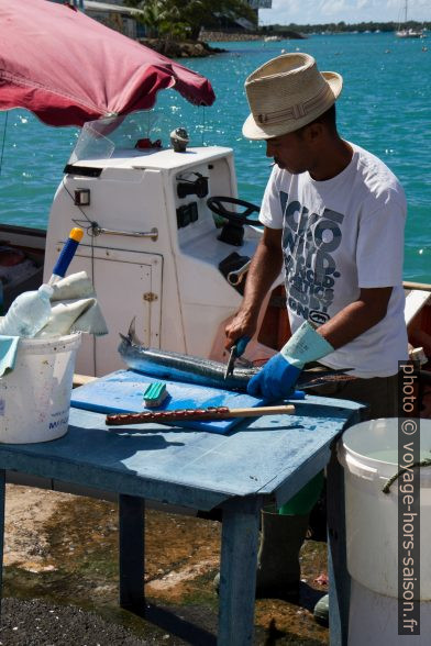 Préparateur de poissons sur le port de Pointe-à-Pitre. Photo © Alex Medwedeff