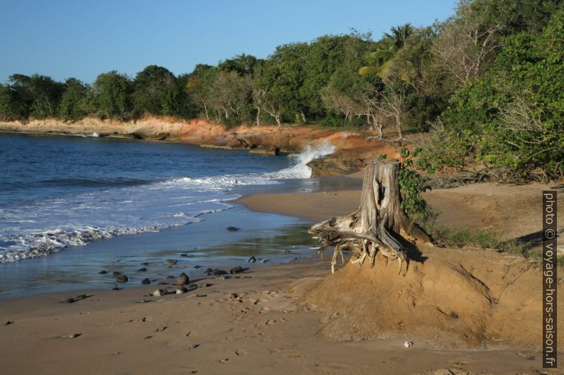 Partie est de l'Anse du Vieux Port. Photo © Alex Medwedeff